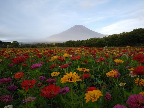 2018/08/14の写真