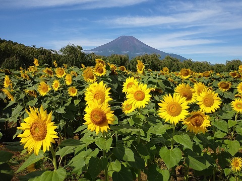 2018/08/18の写真