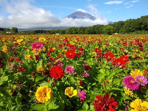 2018/08/25の写真