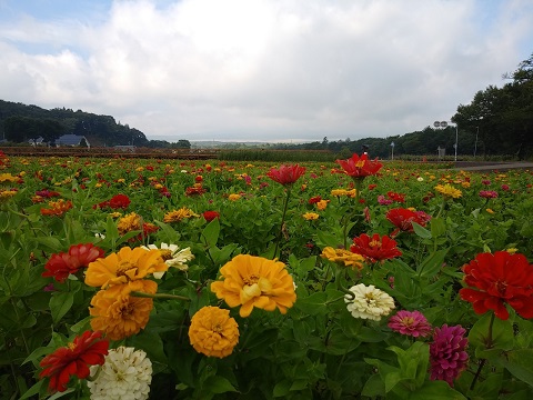 2018/08/28の写真