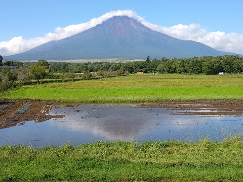 2018/09/05の写真