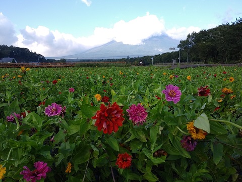 2018/09/05の写真