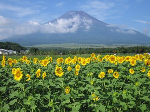 2008/08/14の写真