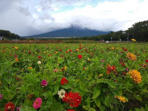 2018/09/07の写真