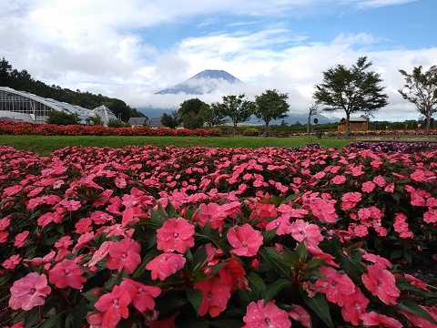 2018/09/09の写真