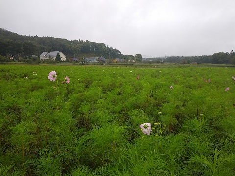 2018/09/15の写真