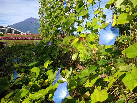 2018/09/17の写真