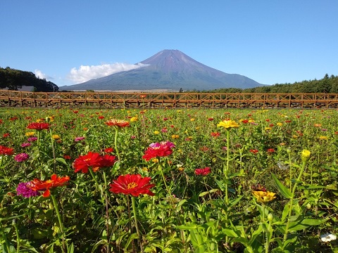 2018/09/28の写真