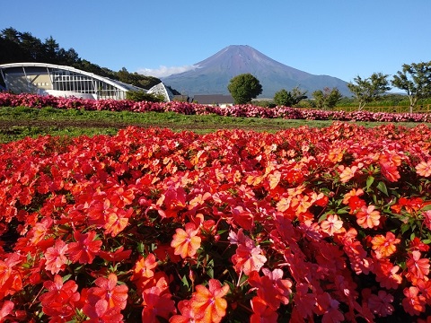 2018/09/28の写真