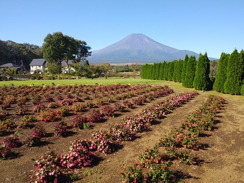 2018/10/02の写真