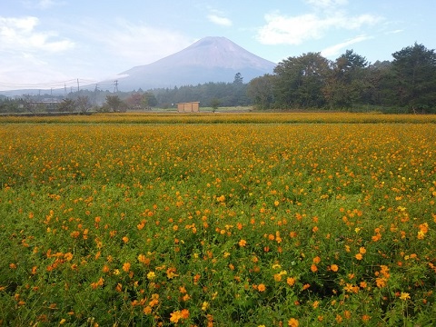 2018/10/03の写真