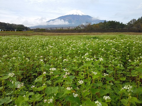 2018/10/16の写真