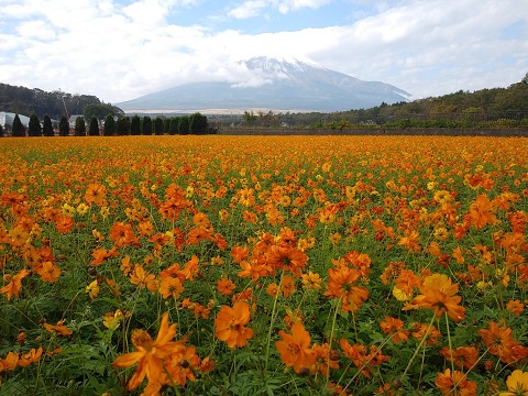 2018/10/20の写真