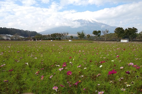 2018/10/20の写真