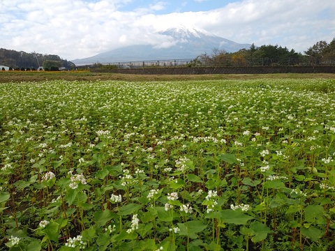 2018/10/20の写真