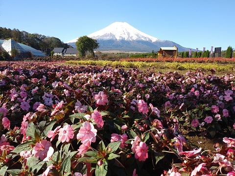 2018/10/21の写真