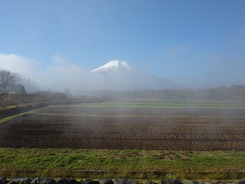 2018/11/25の写真