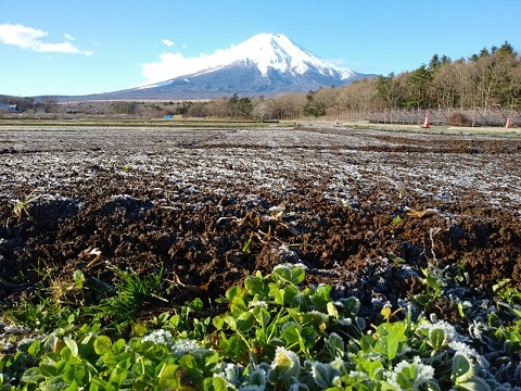 2018/12/14の写真