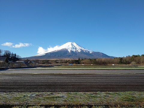 2018/12/14の写真