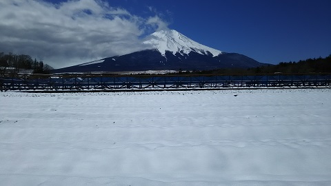 2019/04/11の写真