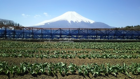 2019/04/16の写真