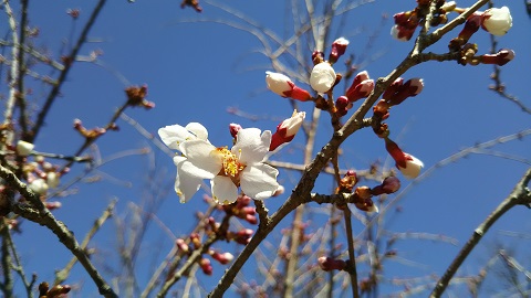 2019/04/16の写真