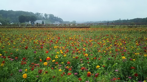 2019/08/20の写真