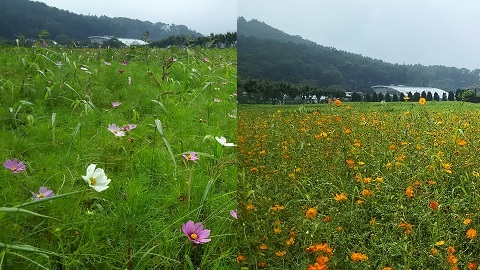 2019/08/20の写真