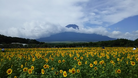 2019/08/24の写真