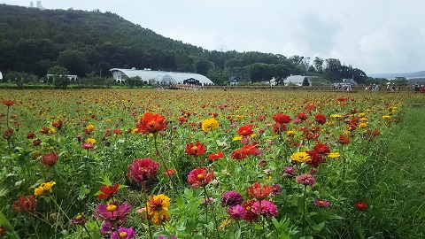 2019/08/24の写真