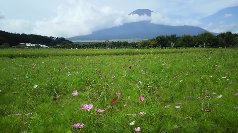 2019/08/24の写真