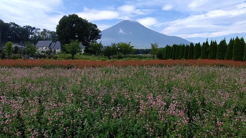 2019/08/29の写真