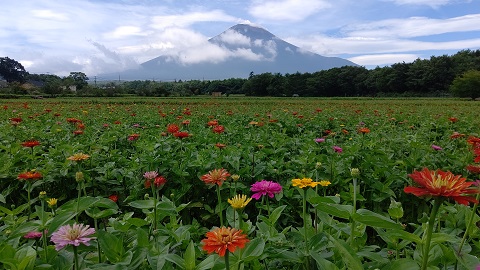 2019/08/29の写真