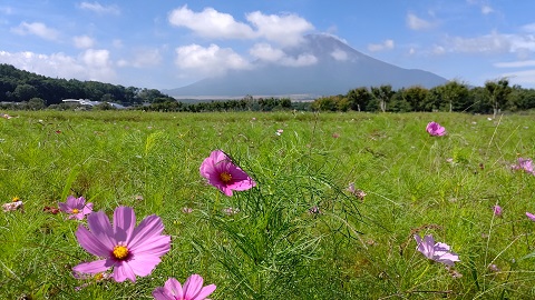 2019/09/02の写真