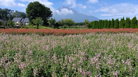 2019/09/02の写真