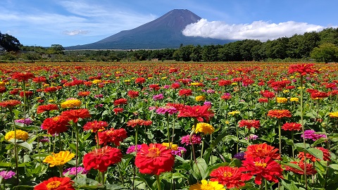 2019/09/07の写真