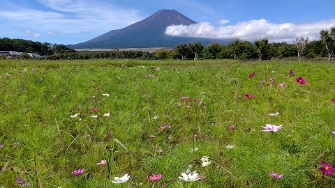 2019/09/07の写真