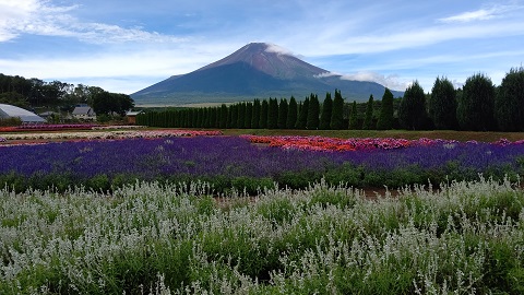 2019/09/09の写真