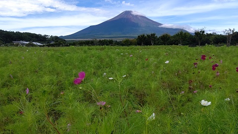 2019/09/09の写真