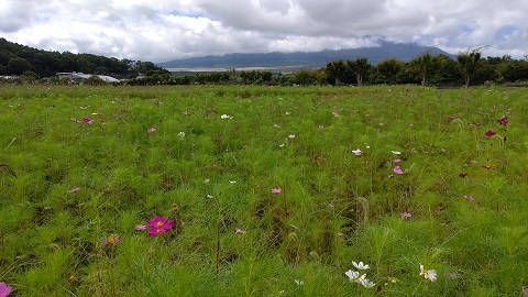 2019/09/14の写真