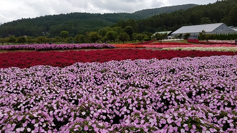 2019/09/21の写真