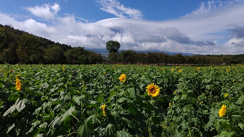 2019/09/24の写真