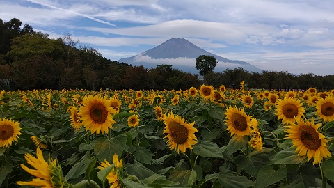 2019/10/03の写真