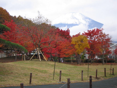 2008/11/11の写真