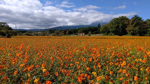 2019/10/09の写真