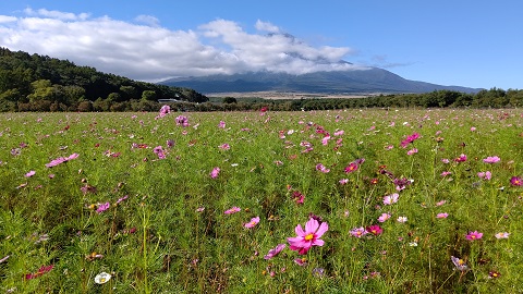 2019/10/09の写真