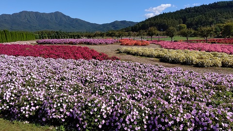 2019/10/09の写真