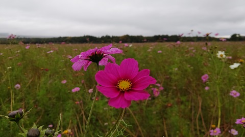 2019/10/21の写真