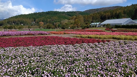 2019/10/27の写真