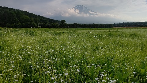 2020/06/15の写真